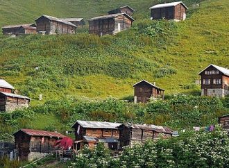 Arsayı alan köye göçüyor!