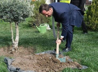 Kalyon Holding’ten rekor fidan dikimi!