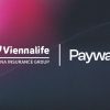 Paywall ve Viennalife Ödeme Teknolojilerinde İş Birliği Yaptı